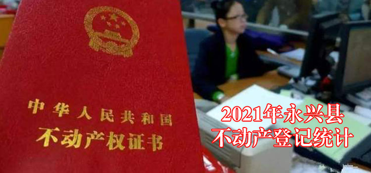2021年永兴县不动产登记统计数据